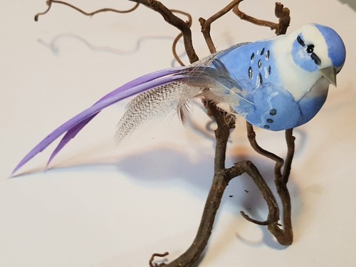 Blauer vogel mit clip - blauer,