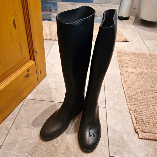 Harry horse reitstiefel - horse,