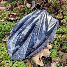 Budawi® Orthoceras Platte XL