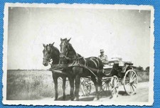Foto, offene Pferdekutsche