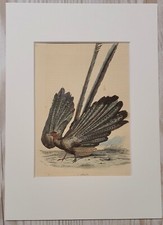 1852 Lithographie Kunstdruck