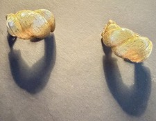 Christian Dior Ohrclips Goldfarben Vintage