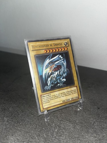 Blauäugiger w drache - w,