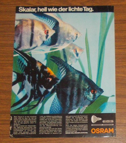 Seltene werbung osram hql - osram, hql-r