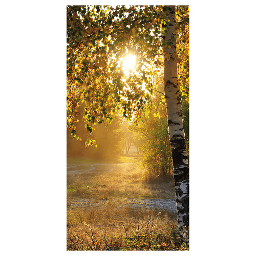 Schaufenster banner - schaufenster,