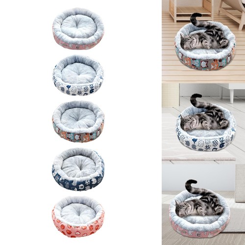 Katze hund bett haustiere - hund,