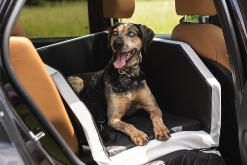 Autohundebett hunde autositz - autohundebett, hunde-autositz