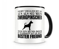 Zwergpinscher mein bester