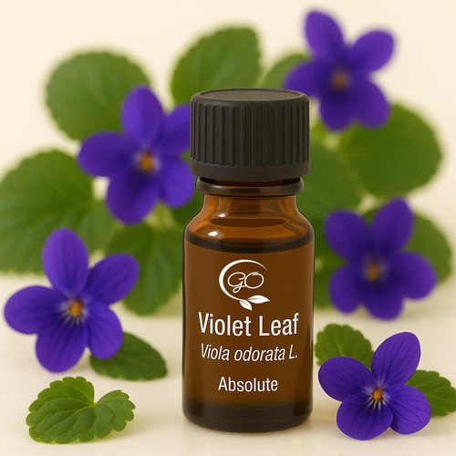 Veilchenblatt absolute pure - veilchenblatt,