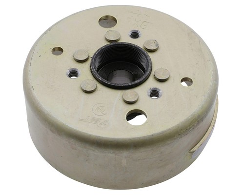 Polrad für lichtmaschine - polrad,