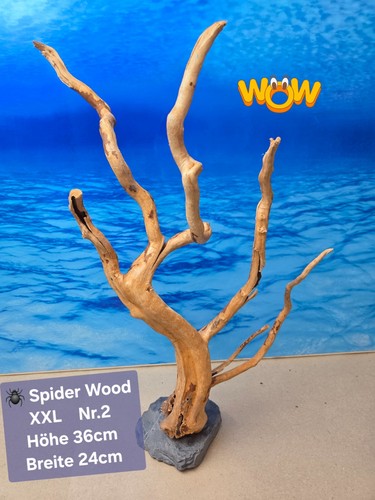 Aquarium wurzel auf - wurzel,