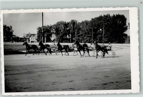 52309210 pferderennen - 52309210,