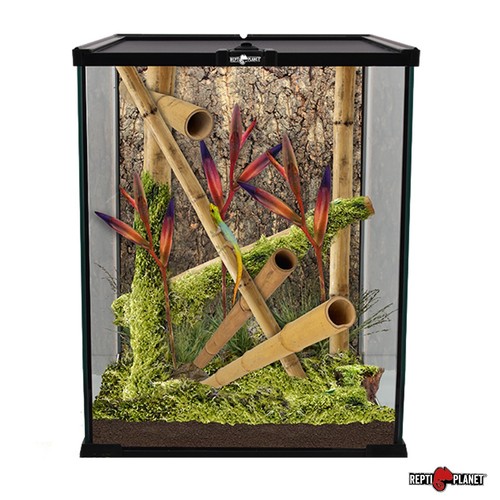 Reptiplanet terrarium - reptiplanet,