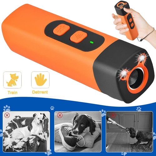 Ultraschall hunde - ultraschall,