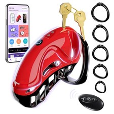 Chastity Cage Vibrationschacht