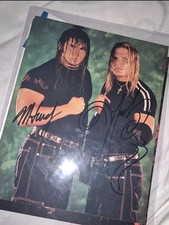 WWE WWF The Hardy Boyz Matt