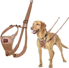 HALTI No Pull Anti-Zug