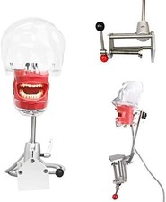 Dental Training Manikin