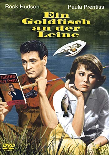 Ein goldfisch der leine - goldfisch, an