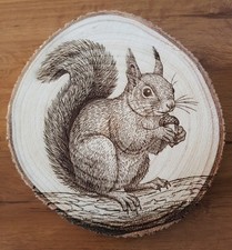 Wandleuchte "Eichhörnchen"