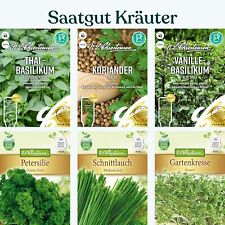 Kräutersamen Saatgut Basilikum Petersilie Koriander Gewürzsamen Schnittlauch