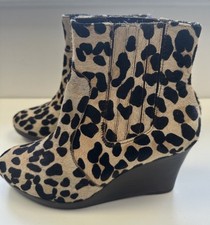 Boden pony hair leopard - leopard, animal