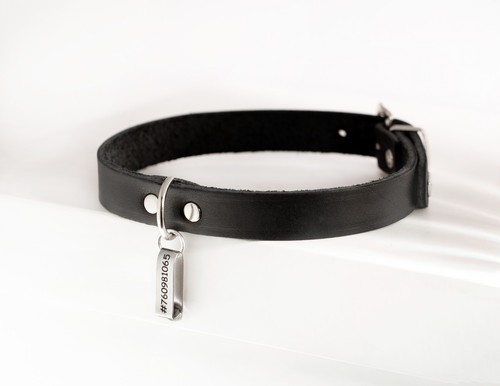 Neu hunter aalborg hund - neu,