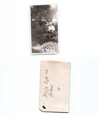 (n940761)   Major Egli als G�rtner  1. Weltkrieg, Nachlass Major daendliker