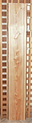 Sib lärche holz - sib.,