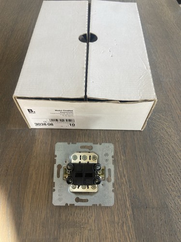 Berker 303808