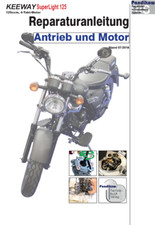 Reparaturanleitung RIS für