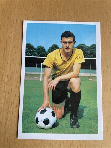 Bergmann 1966 77 peehs - 77,