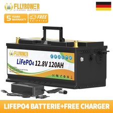 LiFePO4 12V 120Ah Lithium Batterie Akku 120A BMS Solar Boot Camping Wohnmobi RV