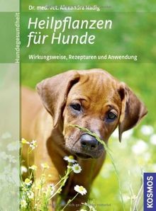 Heilpflanzen für hunde - heilpflanzen,