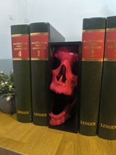 Red Skull Book Nook