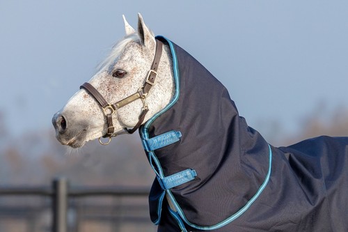 Halsteil amigo hood horseware - hood,