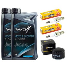 Set Öl Inspektion 2L