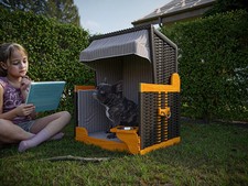 Hundestrandkorb Kea