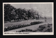 582* AK Bad Schmiedeberg - Dübener Heide - Partie im Sonnenpark (DDR 50er Jahre)