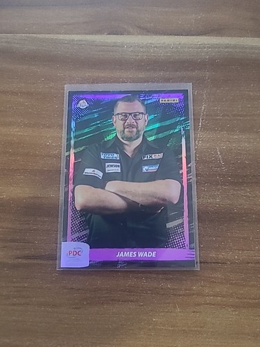 Panini darts world - panini,