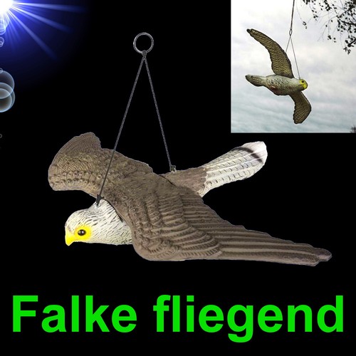 Top vogelschreck falke - top,