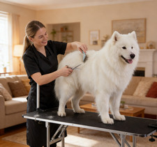 Trimmtisch mit Unterkorb