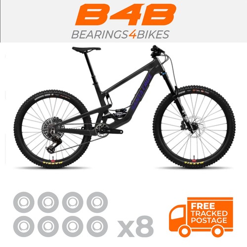 Santa cruz bronson - santa,