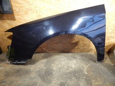 Kotflügel vorne links (Delle)