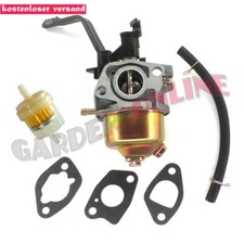 Vergaser für Swisskraft