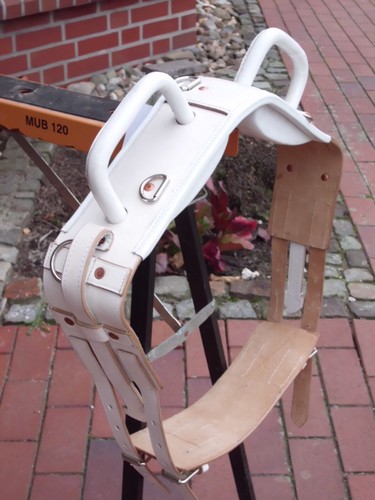 Voltigiergurt leder - leder, m