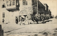 Ak Aleppo Syrien, Karawane von Kamelen, Menschen, Gebäude, Aleppo - 4921975