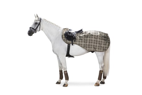 Eskadron heritage ausreitdecke - heritage,