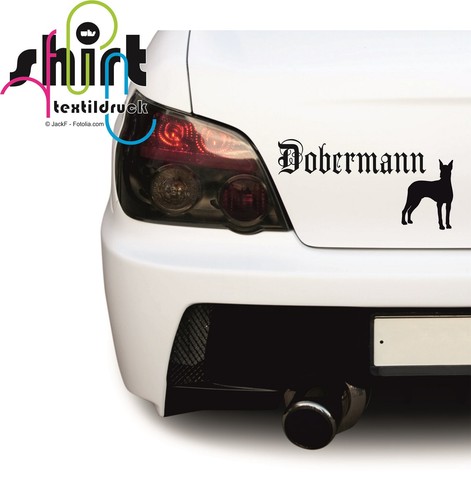 624 dobermann hund - 624,