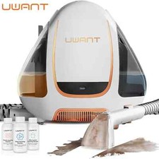 Waschsauger Teppichreiniger